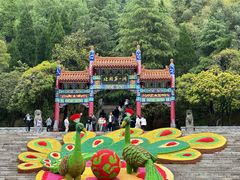 -鸡冠洞风景区