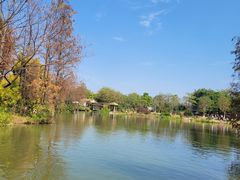 -海珠湖公园
