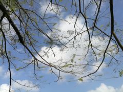 -白沙门生态公园