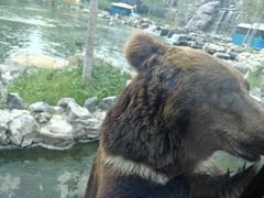 -北京野生动物园