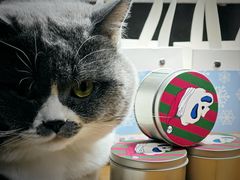 -不作·手工银饰DIY(西红门店)