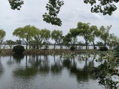 -无锡蠡湖国家湿地公园-蠡园