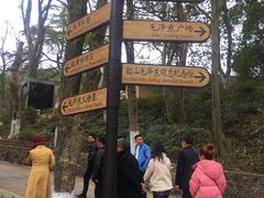 -韶山毛泽东同志故居