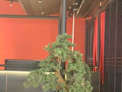 -天辣(金桥啦啦宝都店)