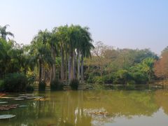 -中国科学院西双版纳热带植物园