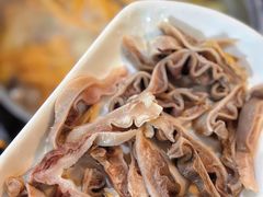 -15年老字号鑫鑫猪肚鸡·椰子鸡海南火锅(兴隆华侨农场店)