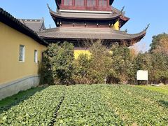 -重元寺香积厨素斋馆