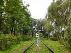 -永定河休闲森林公园