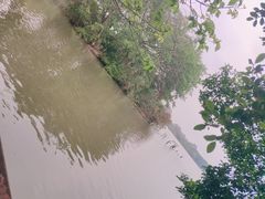 -海珠湖公园