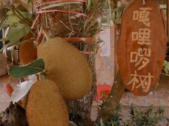 -西双版纳傣族园