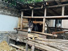 -清风小镇闯关东影视基地