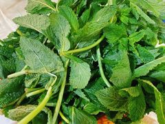 薄荷葉-一煲鸽