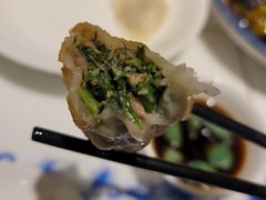 茴香猪肉水饺-东方饺子王(大成路店)