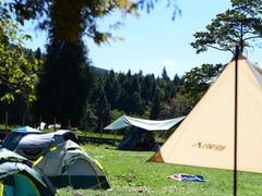 -武陵山森林公园