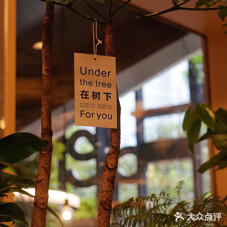 广州新店|花园式餐厅gaga入驻高德置地啦!