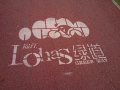 -白鹭湾湿地公园