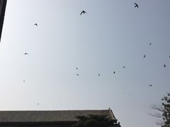 -盐池神庙