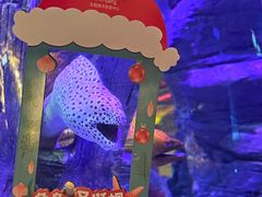 -沈阳海洋探索中心