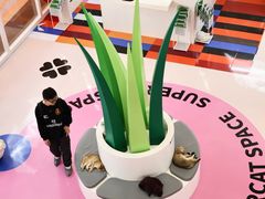 -福田卓悦INTOWN购物中心