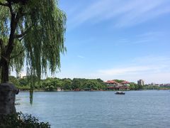 -西湖游船