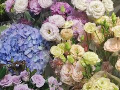 -双季花艺园艺市场(浦东店)