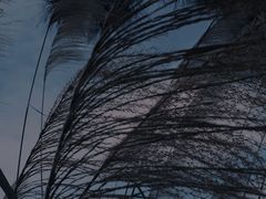 -美兰湖景区