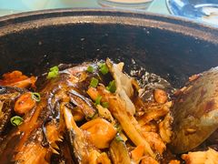 -海派美食·家宴海鲜青岛菜·石锅鲽鱼头(东方城店)