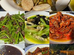 -张鸟园农家乐(张鸟园店)