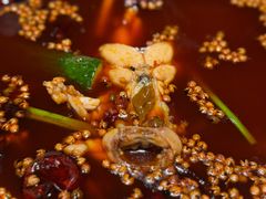 -巴渝菜舍曾氏麻辣风(霸州店)