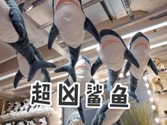 -宜家家居(哈尔滨商场店)