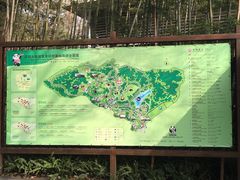 -成都大熊猫繁育研究基地