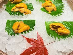-月龍吟(朝龙汇店)