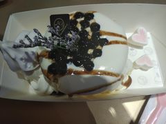 -狐狸和向日葵(北京路店)