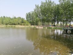 -东郊湿地公园