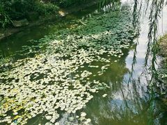 -杭州城北体育公园