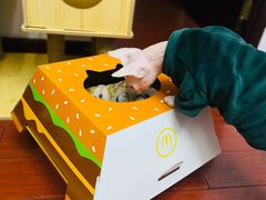 -麦当劳(欢乐谷店)