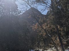 -阳台山自然风景区