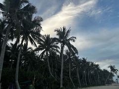 -东郊椰林