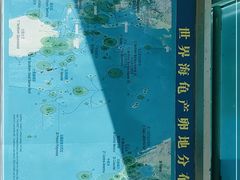 -广东惠东海龟国家级自然保护区