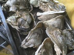 特大蒸生蚝-蚝专家(北滘店)