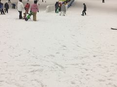 -绍兴启迪乔波冰雪世界