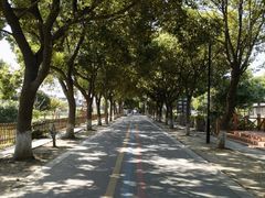 -小陆莲花蟹园农家乐(莲花岛店)