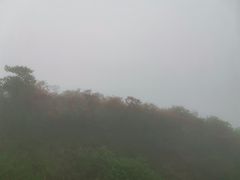 -大围山国家森林公园