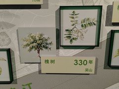 -中国湿地博物馆