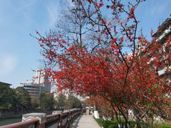 -成都市活水公园