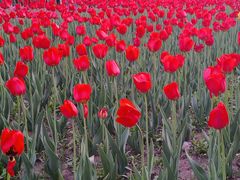 -长春公园(普阳街道)