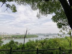 -苏州上方山国家森林公园