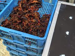 -指爱龙虾(金杨路总店)