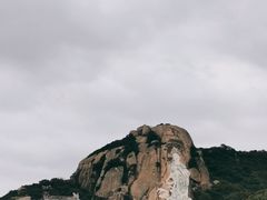 -印象普陀