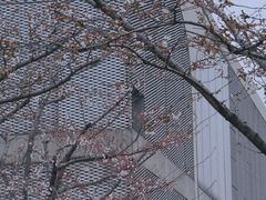 -龙美术馆(西岸馆)